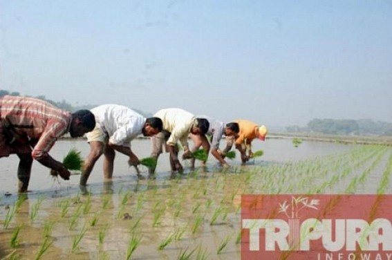 ICAR launches 10 days course on farming system